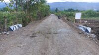 IMG-20251103-WA0007